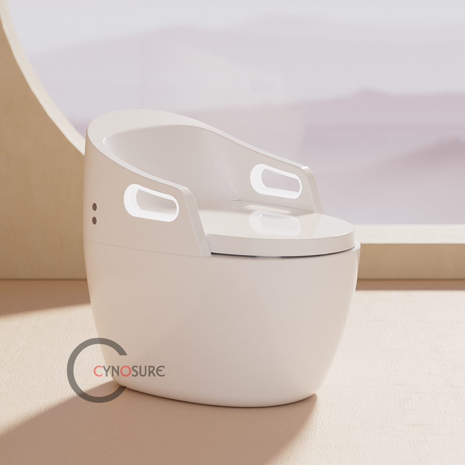 P & C Home Textiles Usa - Toilet,New Design Massage Function Automatic Flushing