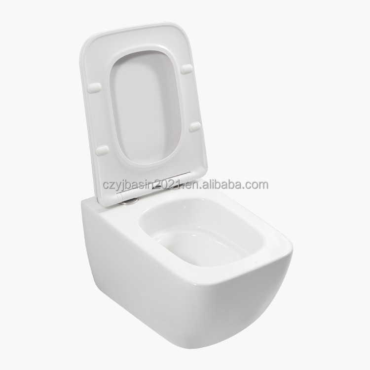 Toilet,Standard Toilet Bowl Se - P & C Home Textiles Usa review and price